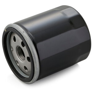 DAYTONA vCXICtB^[ Ɩp10 F-27 X|[cX^[XL1200V[Y[99-20] 35041 oCN