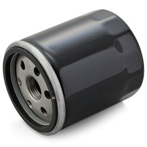 DAYTONA vCXICtB^[ Ɩp10 F-28 [hLOFLHR[99-20] 35046 oCN