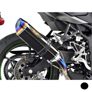 BEET NASSERT Evolution Type II XbvI}t[ 0228-KH8-MB ^ubN Ninja ZX-4R SE Ninja ZX-4RR