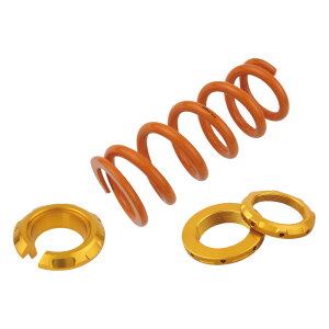 POSH Faith(|bVtFCX) J[AVbNXvOZbg IW/S[h Z900RS/Z900RS CAFE[2018-2023] 132381-04 oCN