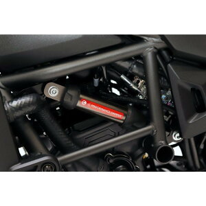 ACTIVE ptH[}X_p[ R ELIMINATOR/SE 13691708 oCN t[ETut[