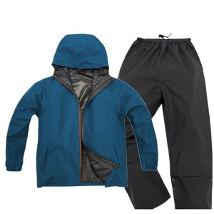 OiS LIGHTCX[c u[ S B-1100 ] CEFA