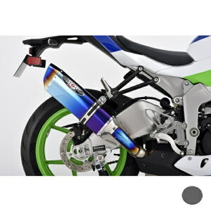 BEET(r[g) NASSERT Evolution Type II XbvI}t[ ^ubN Ninja ZX-6R 0222-KI3-MB oCN XbvI}t[ETCT[