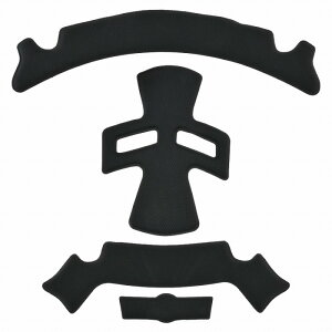 [hH(LEAD) pbhZbg GBH004p GBH004N ] wbgANZT[