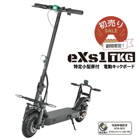 大阪万博 採用モデル eXs(エクス) 電動キックボード eXs 1 TKG (エクスワン 特定小型原動機付自転車)