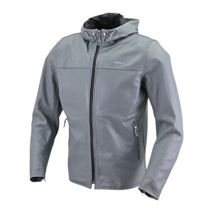 DAYTONA DJ-020 [eB[U[WPbg O[ M 48012 oCN