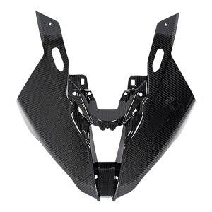 Wunderlich(ワンダーリッヒ) カーボンフロントマスク W36160-401 バイク 外装パーツ