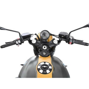 ACVjbc@[ Zp[gnho[ RnineT Racer/Pure/Scrambler/UrbanG/S S50121760606 oCN