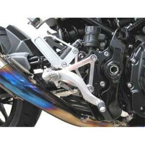 BEET(r[g) nCp[oN(SV) Z900RS 0111-KE3-20 oCN XebvEXebvS