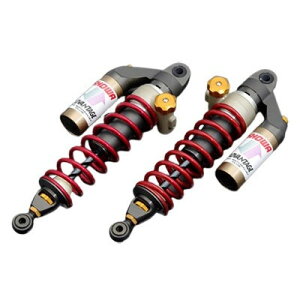 ADVANTAGE SHOWA(Ahoe[W V[) RS-ATXyV(CjVAWX^[) 621-K055-RG oCN