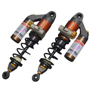 ADVANTAGE SHOWA(Ahoe[W V[) RS-ATXyV(CjVAWX^[) 621-H003-RGB oCN