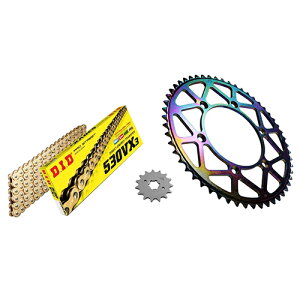 ADVANTAGE XAM&DID �h���C�u�`�F�[��&�O��X�v���P�b�g�L�b�g(�^�t���C�g�X�`�[��) �S�[���h XTK008-G �o�C�N �쓮�n�Z�b�g