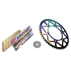 ADVANTAGE XAM&DID �h���C�u�`�F�[��&�O��X�v���P�b�g�L�b�g(�^�t���C�g�X�`�[��) �S�[���h XTK041-G �o�C�N �쓮�n�Z�b�g