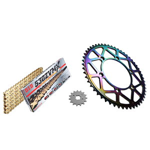 ADVANTAGE XAM&DID �h���C�u�`�F�[��&�O��X�v���P�b�g�L�b�g(�^�t���C�g�X�`�[��) �S�[���h XTK065-G �o�C�N �쓮�n�Z�b�g