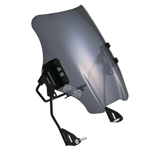 DAYTONA EChV[hRS X[N G~l[^[ 49666 oCN O hEEChV[hEXN[