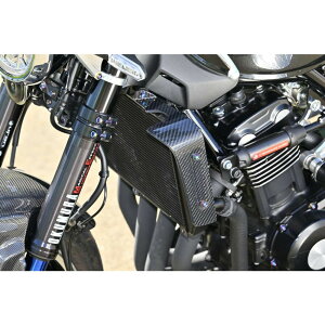 STRIKER(XgCJ[) GAfUC SAD WG^[TChVEh Type-2({gIt^Cv) DJ[{ Z900RS/JtF SAD-RSS158TC2 oCN ̑WG[^Epn