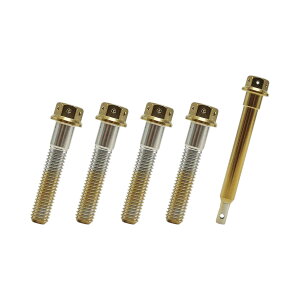 JSM Star Bolt Brembo 4POT LXeBO 1subW{g pbhsZbg PVD`^R[g S[h TA-JSM-BT083GD oCN