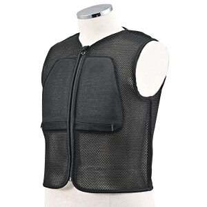 DAYTONA DP-009 3DGAbVxXg ubN L 60944 oCN A_[ECi[EFA