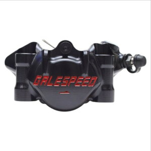 GALE SPEED(QCXs[h) G{[g tg2PLp[ E 34 SCM{gdl ubN GSFCAR34FTP oCN