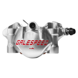 GALE SPEED(QCXs[h) G{[g tg2PLp[ E 34 `^{gdl Vo[ GSFCAR34TSTP oCN