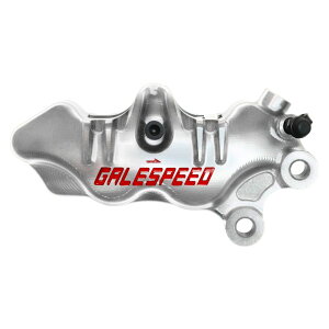GALE SPEED(�Q�C���X�s�[�h) �G���{���[�g �t�����g4P�L�����p�[ �E ��34-��30 SCM�{���g�d�l �V���o�[ GSFCAR3430AFSTP �o�C�N
