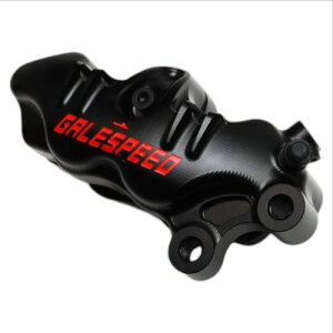 GALE SPEED(QCXs[h) G{[g tg4PLp[  34-30 `^{gdl ubN GSFCAL3430ATTP oCN