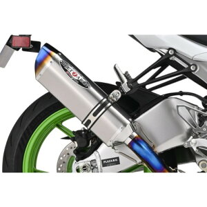 BEET NASSERT Evolution TypeII �t���G�L�]�[�X�g�}�t���[ �N���A�`�^�� Ninja ZX-6R 0223-KI3-50 �o�C�N
