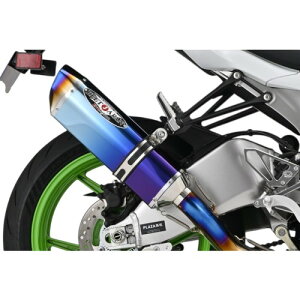 BEET NASSERT Evolution TypeII �t���G�L�]�[�X�g�}�t���[ �u���[�`�^�� Ninja ZX-6R 0223-KI3-BL �o�C�N
