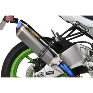 BEET NASSERT Evolution TypeII �t���G�L�]�[�X�g�}�t���[ ���^���u���b�N Ninja ZX-6R 0223-KI3-MB �o�C�N