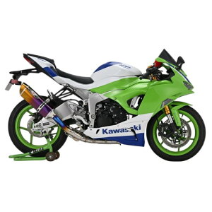 BEET NASSERT Evolution TypeII tGL][Xg}t[ p[vS[h Ninja ZX-6R 0223-KI3-PG oCN