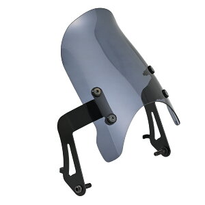 DAYTONA(�f�C�g�i) Aerovisor(�G�A���o�C�U�[) �Ԏ�ʃL�b�g CB1000F 62724 CB1000F(SC94)[2026] �o�C�N ���h�E�E�C���h�V�[���h�E�X�N���[��