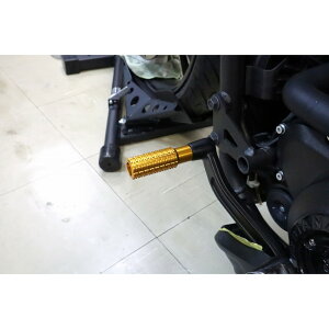 SPEEDRA(�X�s�[�h��) �o�C�N �t���[����� �X�e�b�v�E�X�e�b�v�S�� �A���~���o�� �V�t�g�y�O �S�[���h ASPIN02GD ASPIN02GD 101 Scout�bSport Scout �bSport Scout RT�bSuper Scout�bScout Classic�bScout Bobber