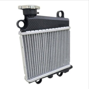 KOSO(�R�[�\�[) �r�b�O�t�B�����W�G�[�^�[ �O���t�@�X/BWS125(3�^)/NMAX(2�^)/X FORCE/AEROX/NVX KS-RAGP-01 �V�O�i�X�O���t�@�X 6�^ �����d�l(BKG)UBS�b�V�O�i�X�O���t�@�X 6�^ ��p�d�l(B8R)UBS/ABS�b�V�O�i�XX/X