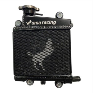 UMA Racing(�E�}���[�V���O) ��e�ʃ��W�G�[�^�[ �O���t�@�X/BWS125(3�^)/NMAX(2�^)/X FORCE/AEROX/NVX 02R00090-KN �V�O�i�X�O���t�@�X 6�^ �����d�l(BKG)UBS�b�V�O�i�X�O���t�@�X 6�^ ��p�d�l(B8R)UBS/ABS�bBW�fS12