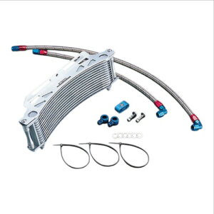 ACTIVE(�A�N�e�B�u) �I�C���N�[���[�L�b�g ���E���h #6 11-13R ZRX1200R/1100 AC14039213 ZRX1200R[01-08]�bZRX1100[97-00] �o�C�N �I�C���N�[���[�Z�b�g