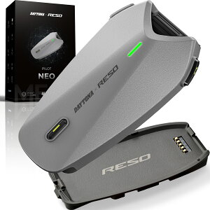 DAYTONA(�f�C�g�i) RESO PILOT NEO 66272 �o�C�N �C���J��
