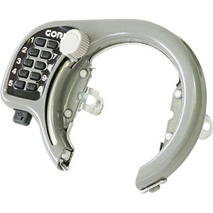 GORIN(S) GR-500 vbVO Vo[ ]