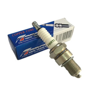 TORCH F6RTC(BPR6ES�݊�) �W���v���O �����` �o�C�N