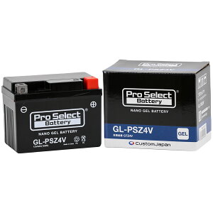 ProSelect oCN obe[ GL-PSZ4V imEWFobe[(GTZ4V݊)(WF^Cv t[d)