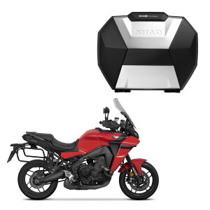 SHAD(Vbh) yZbgizSH38X TChP[X A~pl+tBbeBOLbg g[T[9/GT(21-24) oCN Xe[