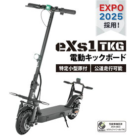 大阪万博 採用モデル eXs(エクス) 電動キックボード eXs 1 TKG (エクスワン 特定小型原動機付自転車)