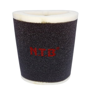 NTB(GkeB[r[) KA-1012 GAtB^[ [t@[1100/RS oCN