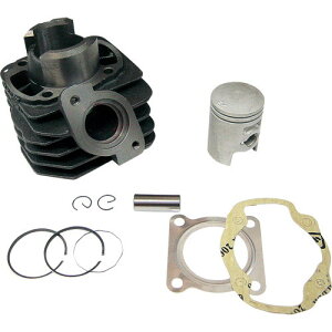 PFP(�s�[�G�t�s�[) AF27 �m�[�}��(STD) �V�����_�[�L�b�g C001 �o�C�N �G���W���{�́E�Z�b�g