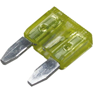 ProTOOLs �~�j���^�q���[�Y 20A �C�G���[ 5�� ���� �o�C�N