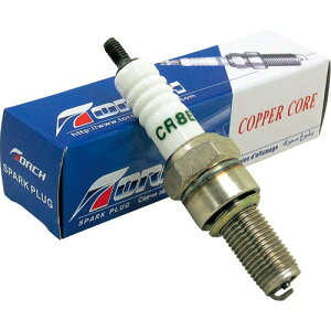 TORCH TCR8E(CR8E݊) WvO lW` oCN