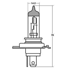 EnergyPrice(エナジープライス) バイク 電球 ヘッドライト球 HS1 12V35/35W NBV008