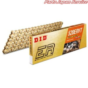520ERVT 110L GOLD/y(FB) fB[ACfB[
