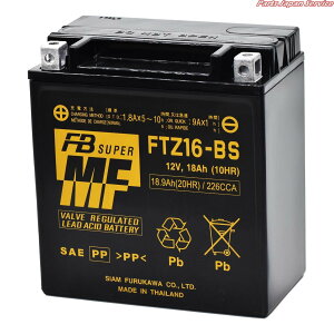 FTZ16-BS(SI.GLC) փobe[t[d tJf`