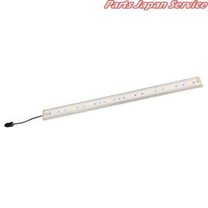 FLR12 LED tACg 12V RCg