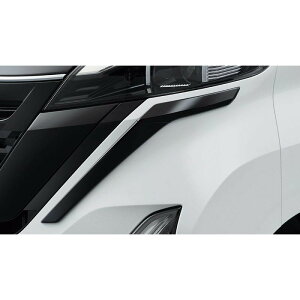  Y NISSAN B45An[NX ubNtgop[tBjbV[ DUPL2 F2070-7NA1A ROOX